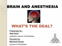 Brain and Anesthesia.pptx